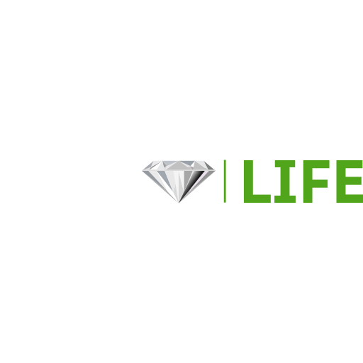 GEM Life